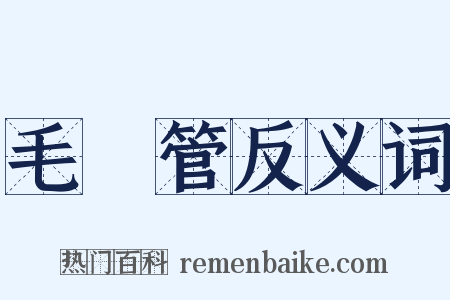 毛細管反义词是什么意思的图片